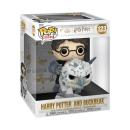 FUNKO POP! - Harry Potter -  Harry Potter and Buckbeak  #123